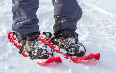 Buty narciarskie 19 jaki to rozmiar w dziecięcej tabeli?