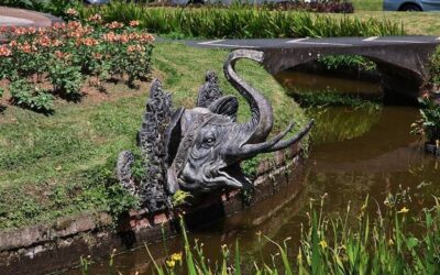 Co jest symbolem Kampinoskiego Parku Narodowego?