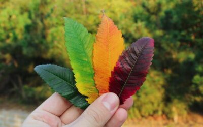 Czy kolor szlaku w górach ma znaczenie dla turystów?