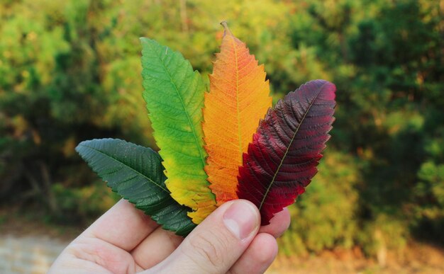 Czy kolor szlaku w górach ma znaczenie dla turystów?