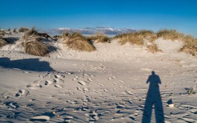 Jak dostać się na wydmy w Łebie i co czeka na trasie?