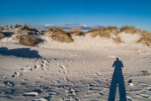 Jak dostać się na wydmy w Łebie i co czeka na trasie?