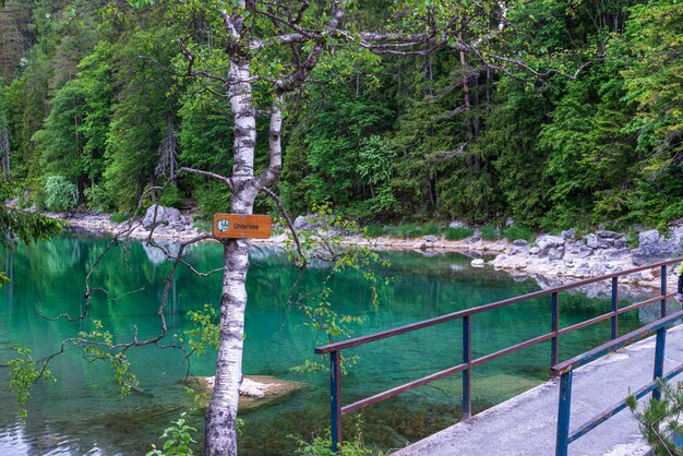 Jeziora Plitwickie która trasa najlepszą dla miłośników przyrody?