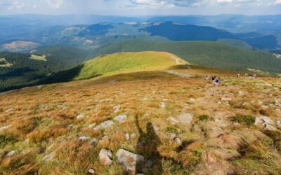 Która połonina ładniejsza według turystów?