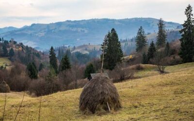 Połonina Caryńska jak dojść na jeden z najpiękniejszych bieszczadzkich szczytów?