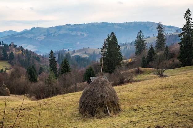Połonina Caryńska jak dojść na jeden z najpiękniejszych bieszczadzkich szczytów?