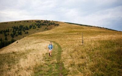 Połonina Wetlińska ile się idzie na szczyt?