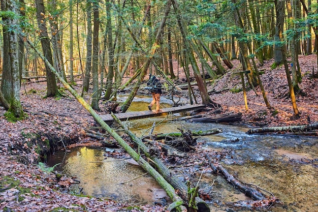 Puszcza Kampinoska gdzie jest i jak do niej trafić?