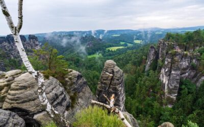 Skalne miasto Czechy czy warto wybrać się na wycieczkę?