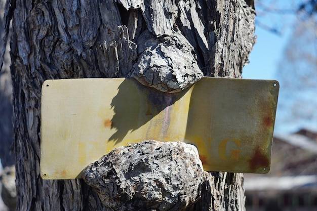 Skalne miasto czy można płacić kartą podczas zwiedzania?