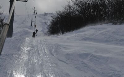 Tyczki na trasie slalomu giganta jak symptomy techniki narciarskiej