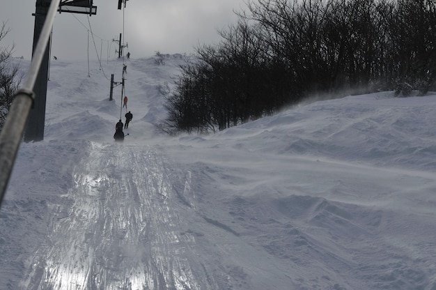Tyczki na trasie slalomu giganta jak symptomy techniki narciarskiej