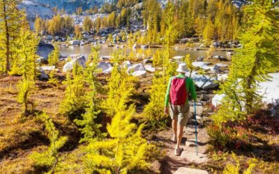 Zakopane gdzie iść na spacer po mieście?