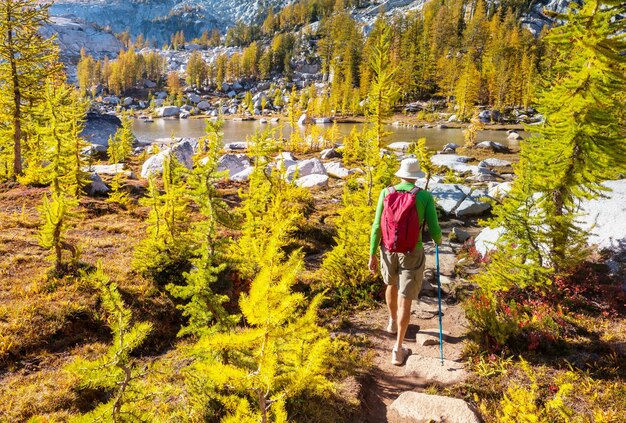 Zakopane gdzie iść na spacer po mieście?