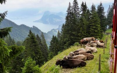Zakopane Tatry Wysokie czy Zachodnie gdzie lepiej wybrać się na szlak?