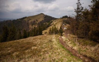 Bieszczady skąd na szlaki rozpocząć wędrówkę?