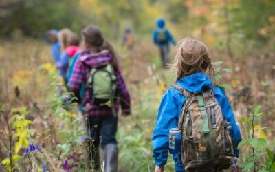 Co robić w Bieszczadach z dziećmi podczas rodzinnego wyjazdu?