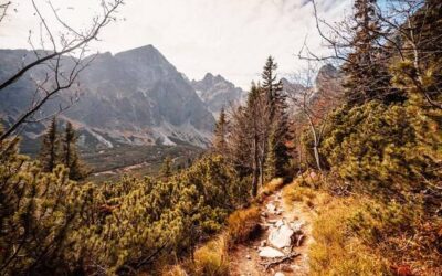 Gdzie pojechać w góry w Polsce na udany wypoczynek?