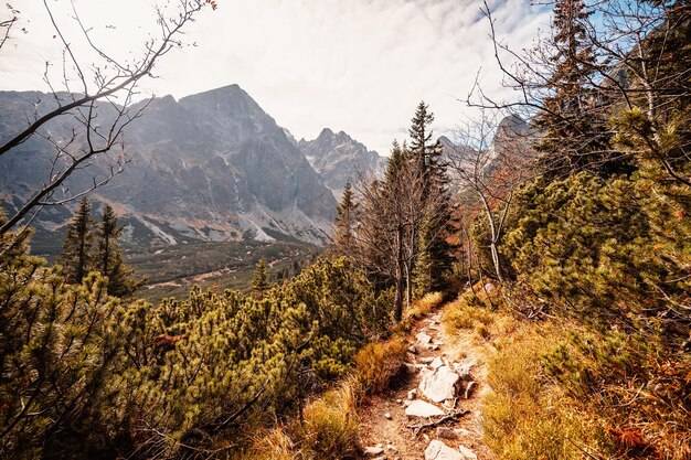 Gdzie pojechać w góry w Polsce na udany wypoczynek?
