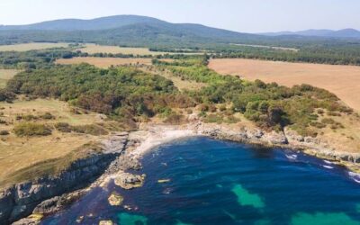 Gdzie leży wyspa Kreta i czym zachwyca turystów?