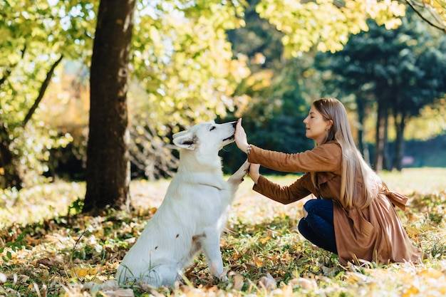 Gdzie można z psem spędzić wolny czas?