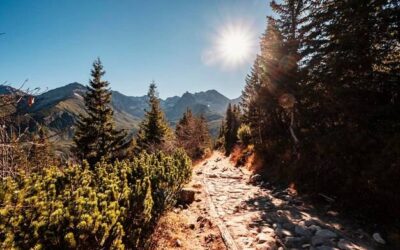 Gdzie warto pojechać w góry w Polsce?