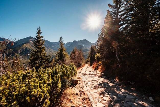 Gdzie warto pojechać w góry w Polsce?