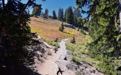Ile ma trasa na Morskie Oko i komu polecana jest ta wyprawa?