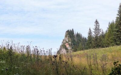 Jakie są najniższe góry w Polsce i gdzie je znaleźć?