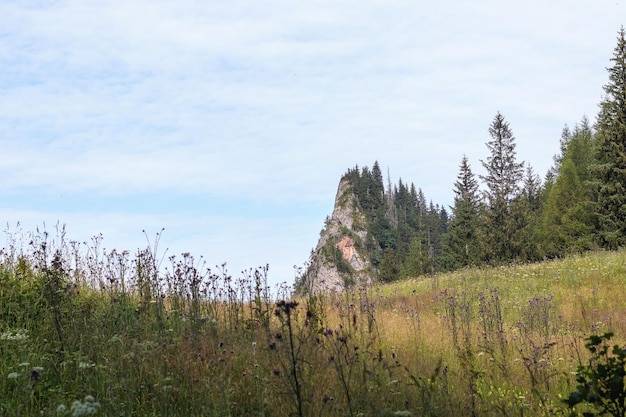 Jakie są najniższe góry w Polsce i gdzie je znaleźć?