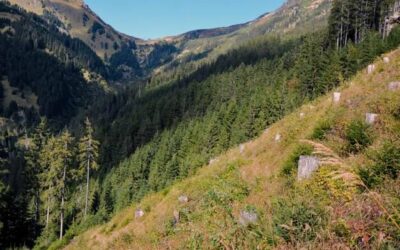 Jakie są pasma górskie w Polsce i czym się wyróżniają?