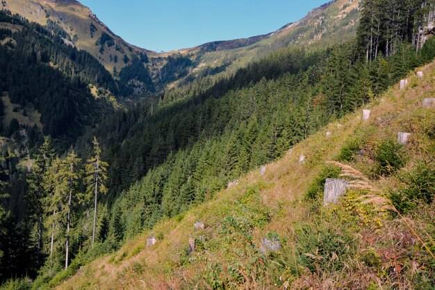Jakie są pasma górskie w Polsce i czym się wyróżniają?