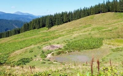 Tarnica czy Połonina Wetlińska która trasa lepsza dla początkującego turysty?