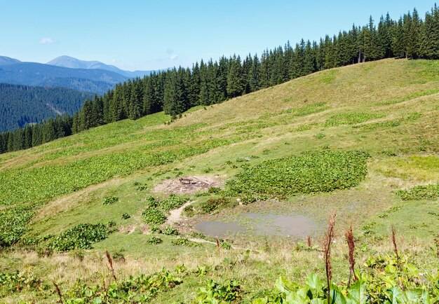 Tarnica czy Połonina Wetlińska która trasa lepsza dla początkującego turysty?