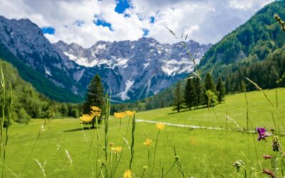 Austria Alpy latem gdzie warto pojechać?