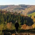 Gdzie jechać na wakacje w polskie góry, by odpocząć od codzienności?