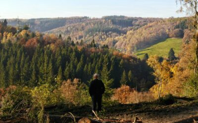 Gdzie jechać na wakacje w polskie góry, by odpocząć od codzienności?