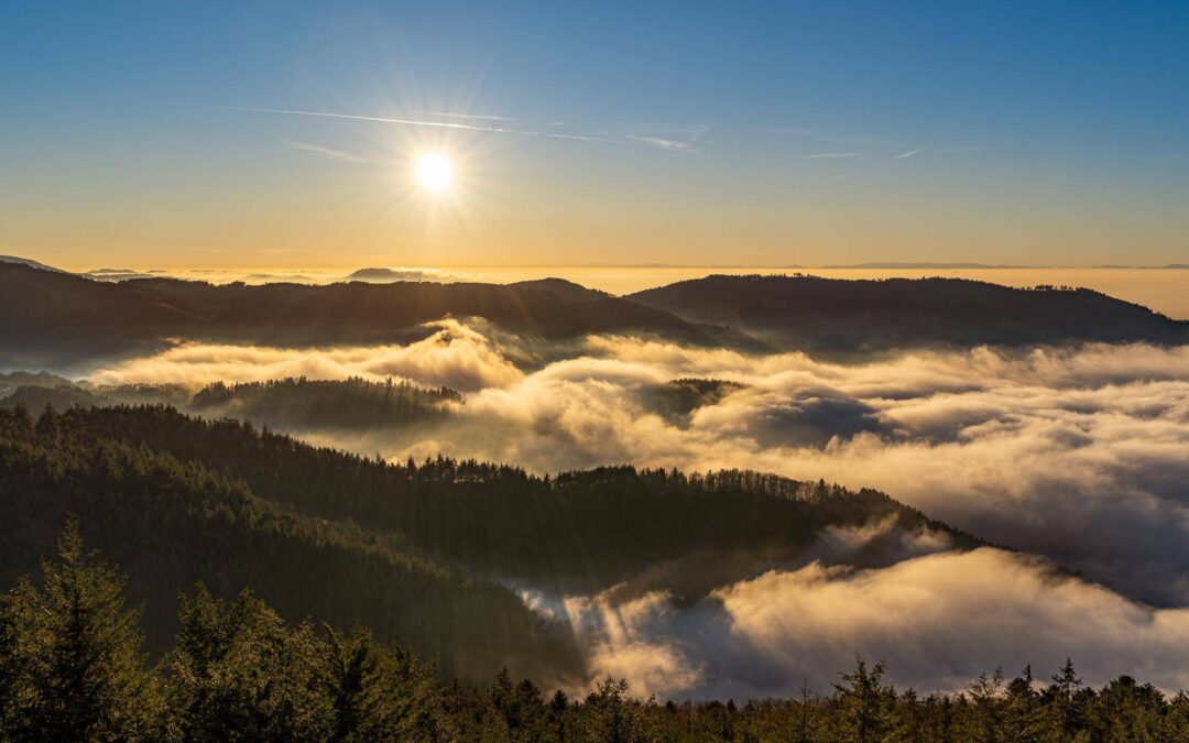 Gdzie leży Schwarzwald i co warto wiedzieć o tej krainie?