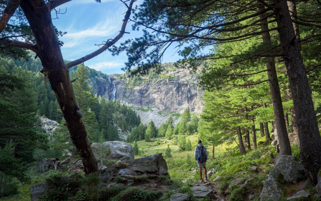 Gdzie są góry Schwarzwald i co je wyróżnia?