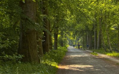 Szpindlerowy Młyn ile km tras oferuje narciarzom?