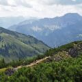 Zieleniec ile km tras znajdziesz na stokach?