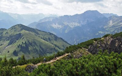 Zieleniec ile km tras znajdziesz na stokach?
